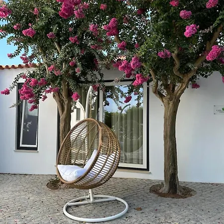 Horta Dos Cedros Tomar