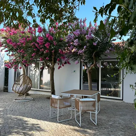 Horta Dos Cedros Tomar