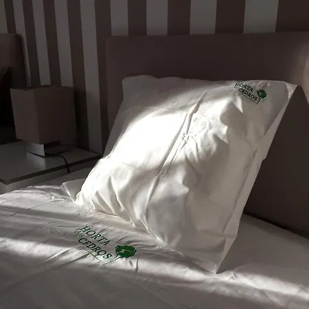 Vakantiehuis Horta Dos Cedros