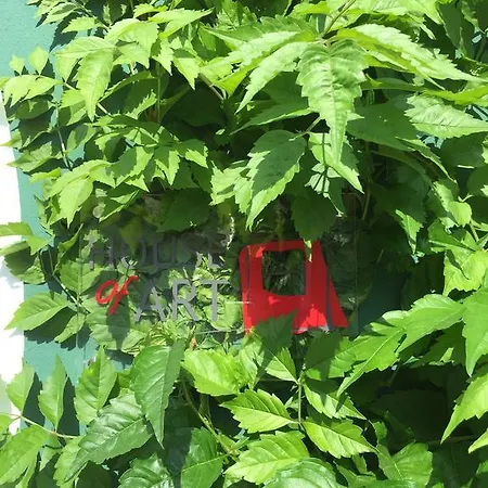 Horta Dos Cedros Tomar