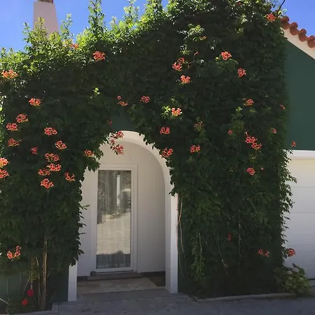Horta Dos Cedros Vakantiehuis