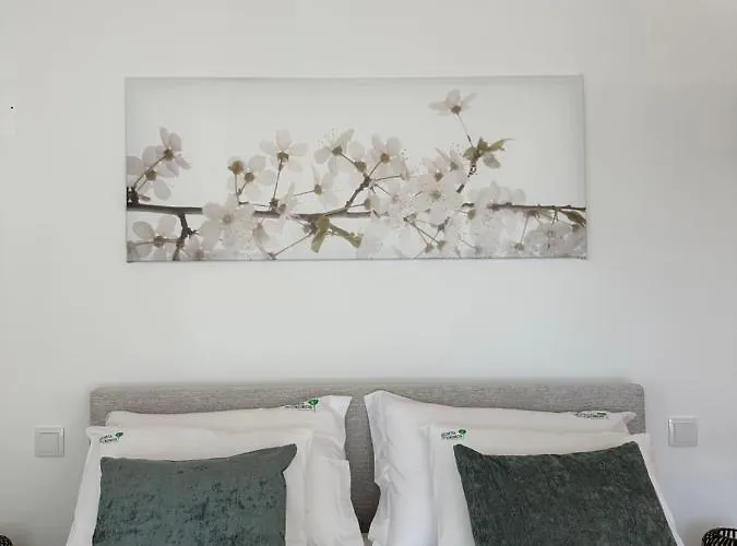 Horta Dos Cedros Holiday home