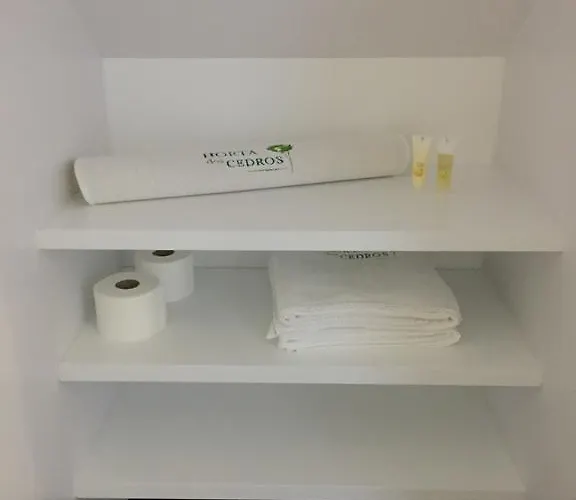 Horta Dos Cedros Holiday home Tomar